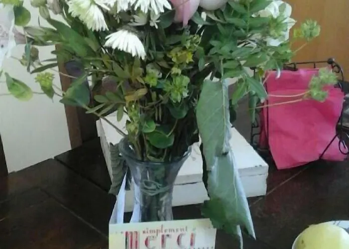 Maison Le Trefle Chef-Boutonne